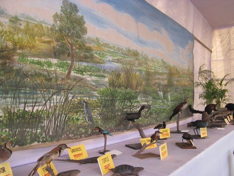 Wildlife exhibition